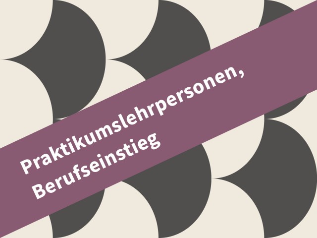 Praktikumslehrpersonen, Berufseinstieg